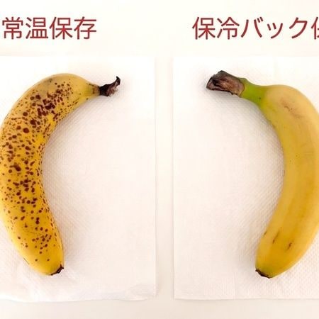【1ヶ月検証】もうバナナを真っ黒にしない！「保冷バッグ保存」を試した結果がすごすぎた
