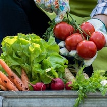 私たちの食卓はどうなる？法律が変わった"食育"、今知っておきたいこと3つ