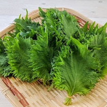 ご飯泥棒！「大葉×◯◯のナムル」がやみつきおいしい
