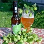 クラフトビール・エールとラガーの違い【モテ知識・お酒編】第3回目