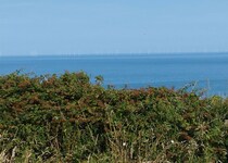 風車が加わったノルマンディの海岸の風景【フランス】