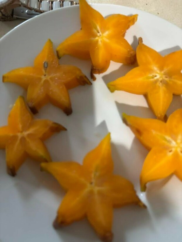 青空マーケットで購入したスターフルーツ【オーストラリア】