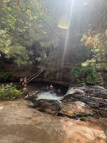 森に湧く天然温泉、Kerosene Creek【ニュージーランド】