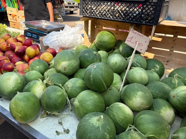 南イタリア特産の、きゅうりともスイカとも違う謎の〇〇とは?【イタリア】