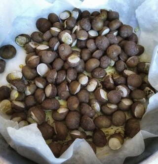 プーリアの路上で売られている謎の貝の正体は？【イタリア】