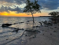 ダーウィンのビーチ【オーストラリア】