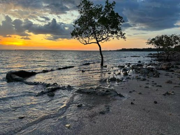 ダーウィンのビーチ【オーストラリア】