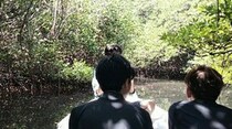 マングローブの森を行く！生命の神秘に触れる旅【インドネシア】