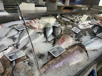 イタリアの魚屋さん【イタリア】