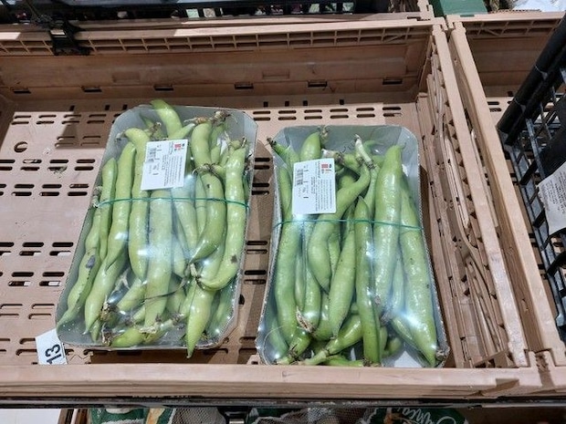 「ソラマメ販売中、アレルギーの人は要注意！」の貼り紙がスーパーの入り口にある理由【イタリア】