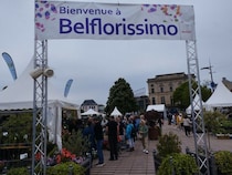 フランスの初夏は植物がいっぱい【フランス】