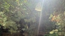 森に湧く天然温泉、Kerosene Creek【ニュージーランド】