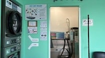 ペット専用のランドリー増えてます【イタリア】