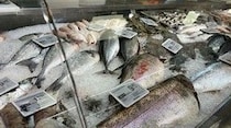 イタリアの魚屋さん【イタリア】