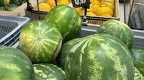 イタリアのスイカの値段【イタリア】