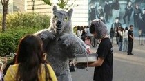 「&TEAM」、ソウル都心で「ハウリング」炸裂…ポップアップ「オオカミ人間アジト」に2000人が殺到