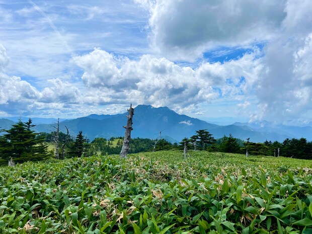 石鎚山（瓶ヶ森から）