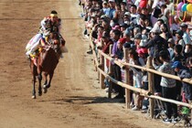 愛媛の秋が盛り上がる！10/17（金）～19（日）に行きたい注目イベント7選【2025年10月】