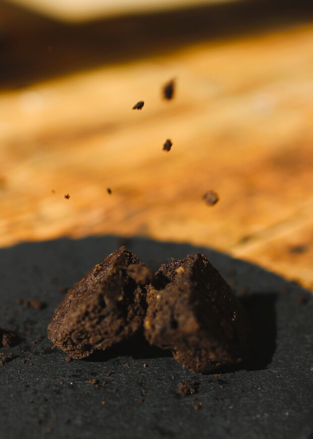 とくしまブラウニー　イメージ写真