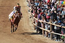 愛媛の秋が盛り上がる！10/17（金）～19（日）に行きたい注目イベント7選【2025年10月】