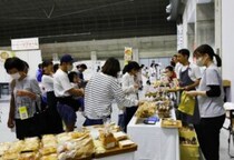 ハロウィンも秋グルメも！秋の愛媛でイベント満喫！家族で楽しむ週末フェス＆イベント特集