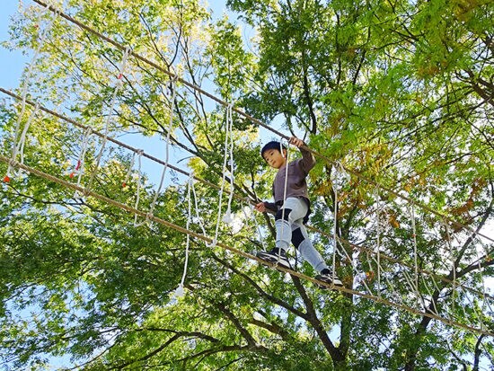 【第34回野外活動センターまつり 愛媛/松山市】 今年の秋は自然の中でのびのび遊ぼう!