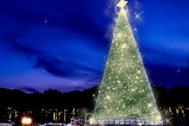 <中四国最大級23mのツリー>ゴールドツリー