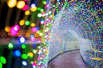 【タオル美術館 イルミネーション＆3Dプロジェクションマッピング 愛媛/今治市】 過去最大規模45万球にパワーアップしたイルミネーションを楽しもう！