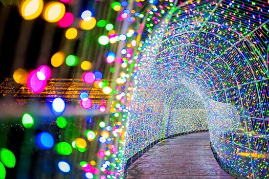 【タオル美術館 イルミネーション&3Dプロジェクションマッピング 愛媛/今治市】 過去最大規模45万球にパワーアップしたイルミネーションを楽しもう!