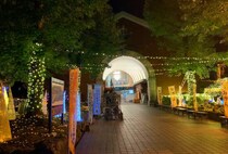 【マイントピア別子 イルミネーション2025 愛媛/新居浜市】 まるでおとぎ話の世界！ 美しいイルミネーションで心温まる一日を