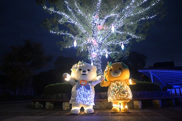 とべZOOイルミネーション2025［愛媛県 イルミネーション とべ動物園］