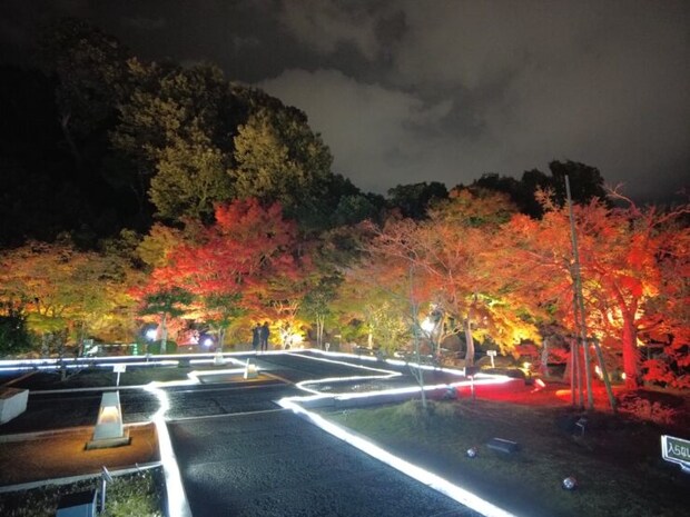 二之丸 光の庭園2025［愛媛県 イルミネーション 松山市］