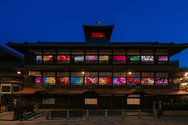 蜷川実花 with EiM × 道後温泉 DOGO ART［愛媛県 イルミネーション 道後温泉］