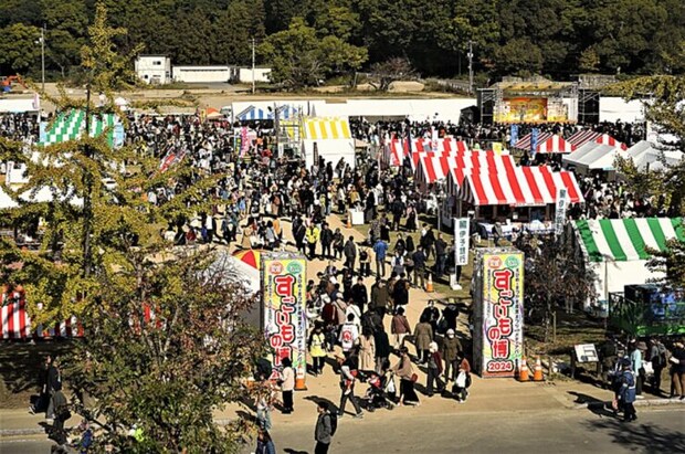 愛媛の秋を満喫！グルメ・芸術・光・文化が集う週末イベント特集（11/14～11/16）