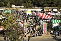 愛媛の秋を満喫！グルメ・芸術・光・文化が集う週末イベント特集（11/14～11/16）