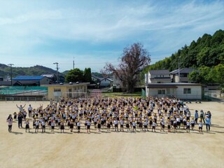【愛媛県今治市】ユーカリの樹がつないだ124年の記憶を未来へ！桜井小学校の象徴を顕彰するガバメントクラウドファンディング開始