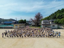 【愛媛県今治市】ユーカリの樹がつないだ124年の記憶を未来へ！桜井小学校の象徴を顕彰するガバメントクラウドファンディング開始