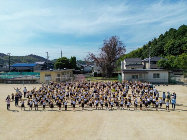 【愛媛県今治市】ユーカリの樹がつないだ124年の記憶を未来へ!桜井小学校の象徴を顕彰するガバメントクラウドファンディング開始