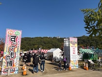 【2025年開催レポ】家族で満喫！愛媛の秋の祭典「すごいもの博」の魅力と来場のお役立ち情報を徹底解説！