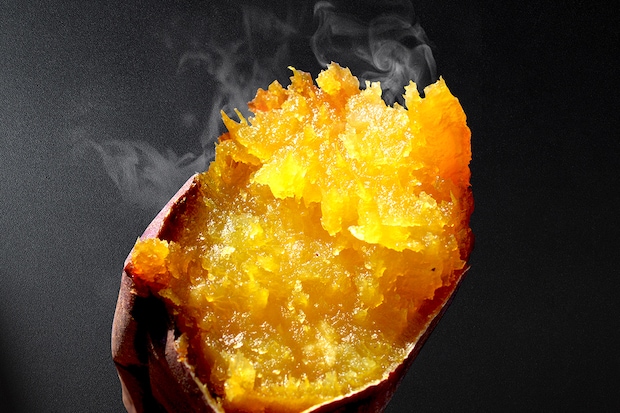 【芋や吟二朗】最高糖度紅はるか_究極の密やきいも