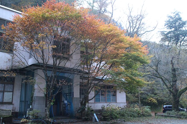 面河渓の紅葉写真　2025年11月15日　午前中に撮影