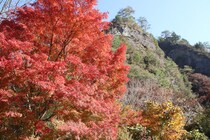 【体験レポ】久万高原 紅葉ドライブ！面河渓から見頃を迎えた古岩屋まで絶景めぐり