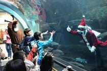 【虹の森公園おさかな館クリスマスイベント ナイトアクアリウム・ウィンターイルミネーション・ダイバーサンタ】 心ときめく光と水の出会い（愛媛/松野町）