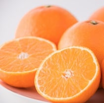 愛媛の至宝！「紅まどんな」の魅力と通販情報｜まるでゼリーな高級みかん【瀬戸内の逸品】