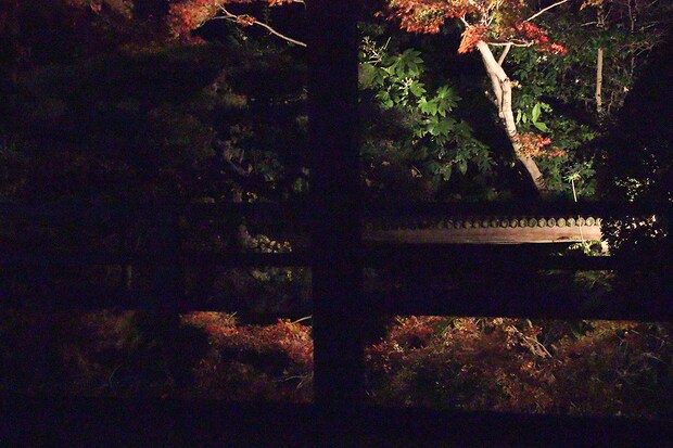 長建寺の和傘と紅葉ライトアップ