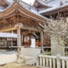 【綱敷天満神社 愛媛/今治市】 学問の神様に新年の挨拶を［愛媛の初詣2026年］