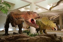 【愛媛県総合科学博物館 新春イベント】お正月は家族そろってワクワクが止まらない！（愛媛/新居浜市）