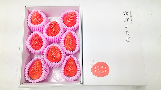 【東温ゆめいちご いちご狩り 愛媛/東温市】 いちご専業農園で味わう冬の贅沢