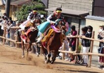 【加茂神社 愛媛/今治市】 お供馬の初走りで迎える新しい一年［愛媛の初詣2026年、お正月は新年のお参りから］