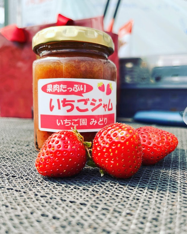 【いちご園みどり いちご狩り 愛媛/伊予市】 希少な品種にも出合える歴史あるいちご園